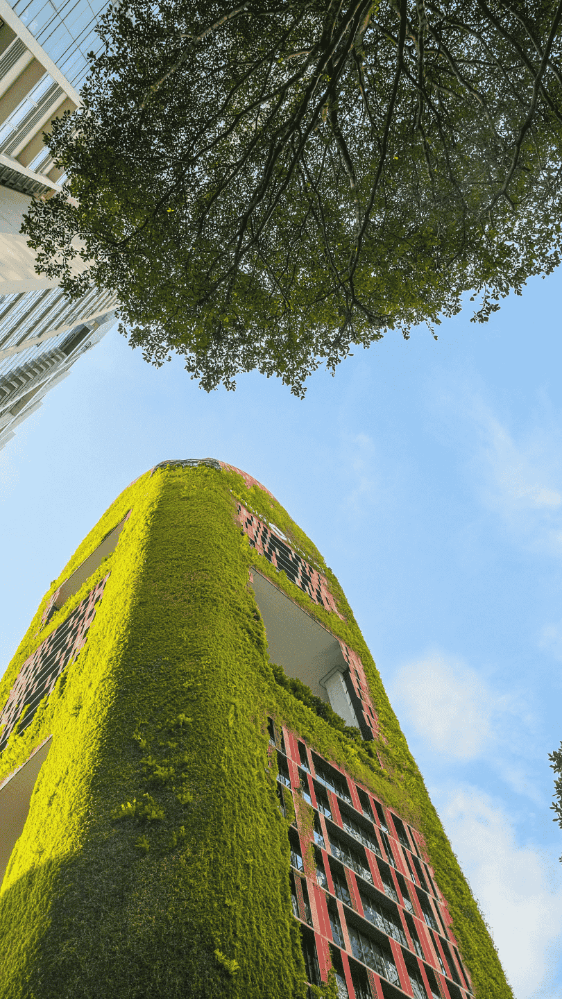 Complete commercial electrification project by Enginia Energie, showing newly installed LT panels and overhead cable trays in a modern building.